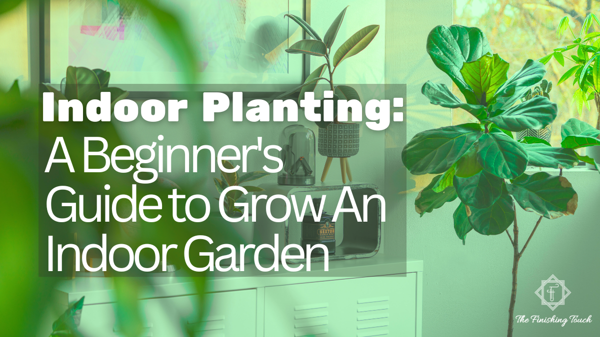 Indoor Planting A Beginner's Guide to Grow An Indoor Garden 